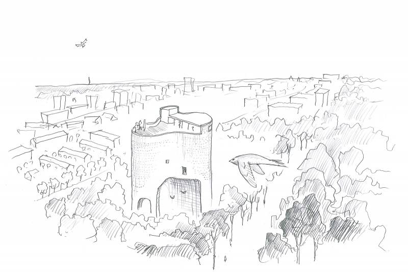 205.V+.ChateauLuxembourg.Dessins.martinet LD
